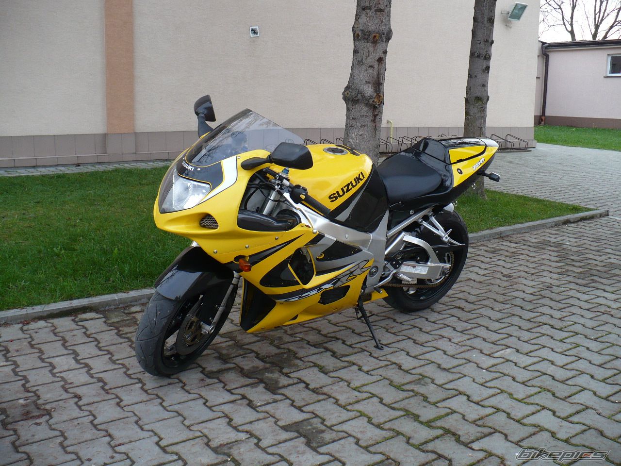 Photo 1483668