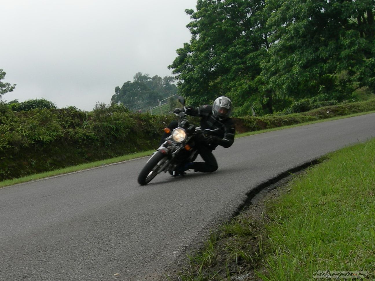 Photo 1483779