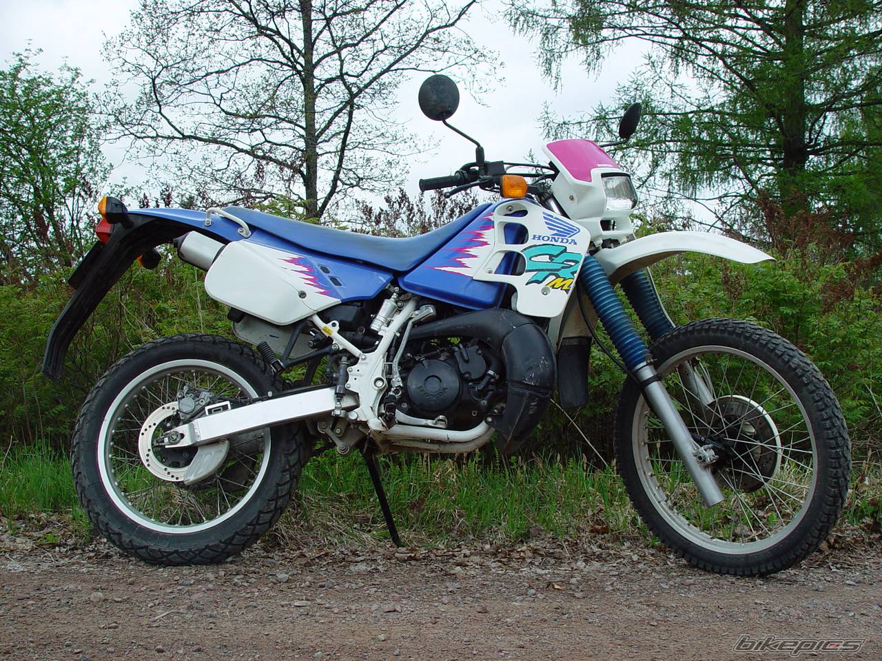 Photo 148384