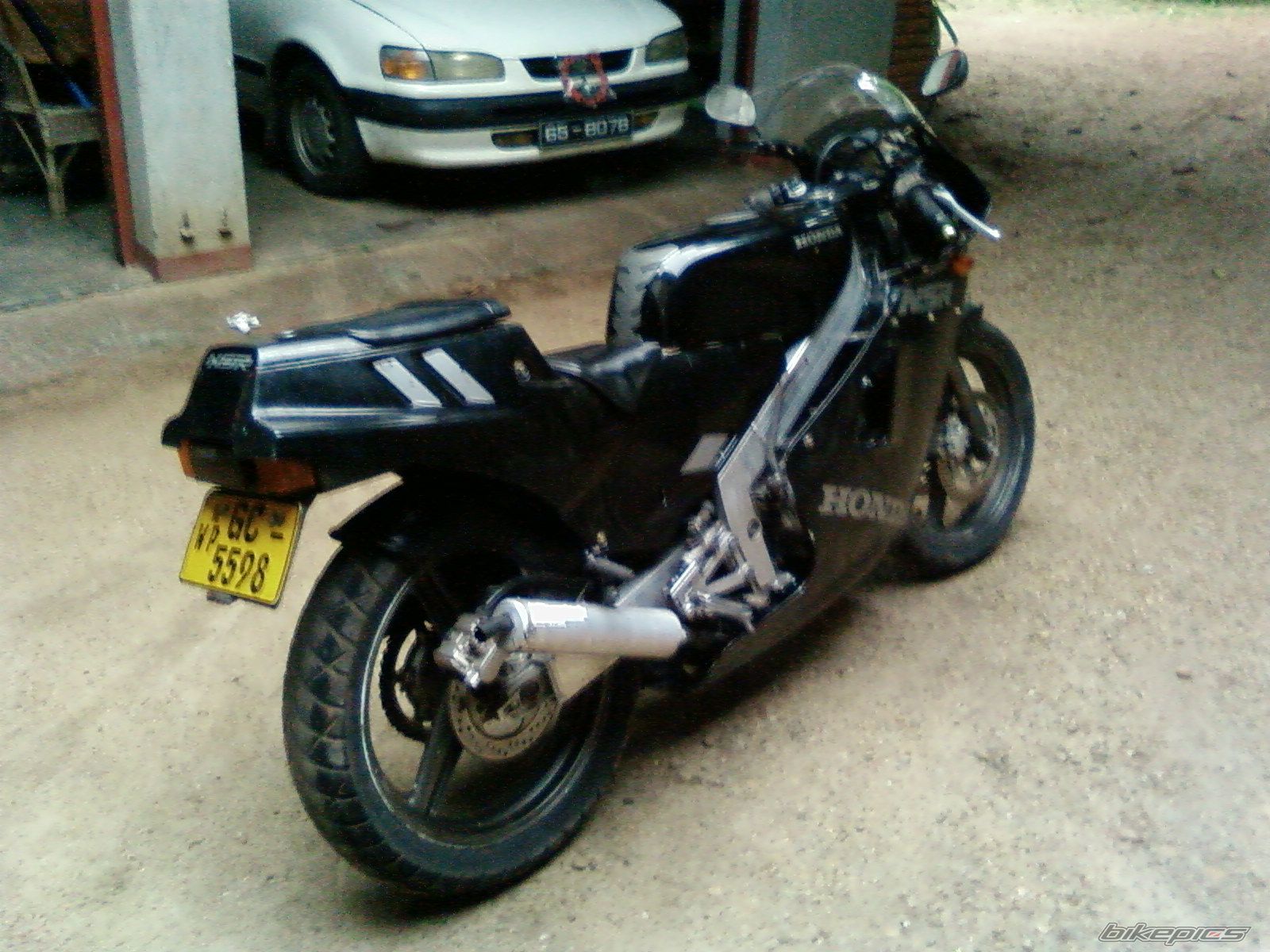 Photo 1483842