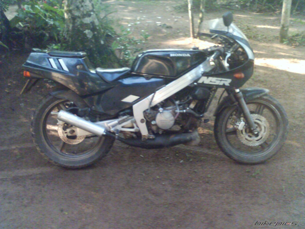Photo 1483849