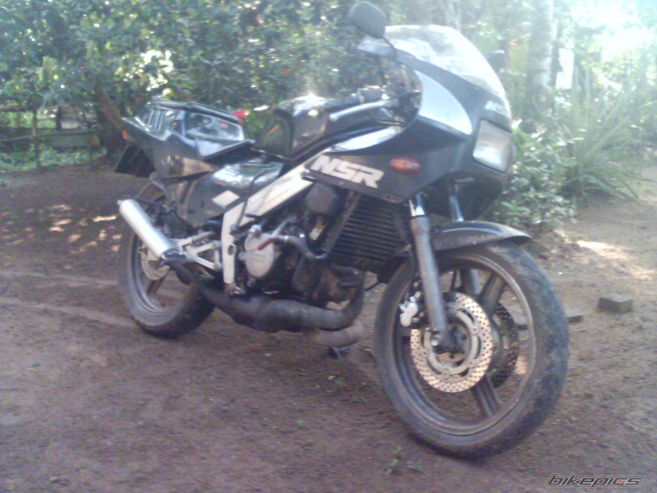 Photo 1483859