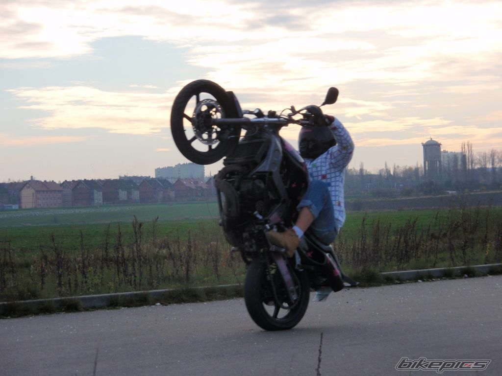 Photo 1483897