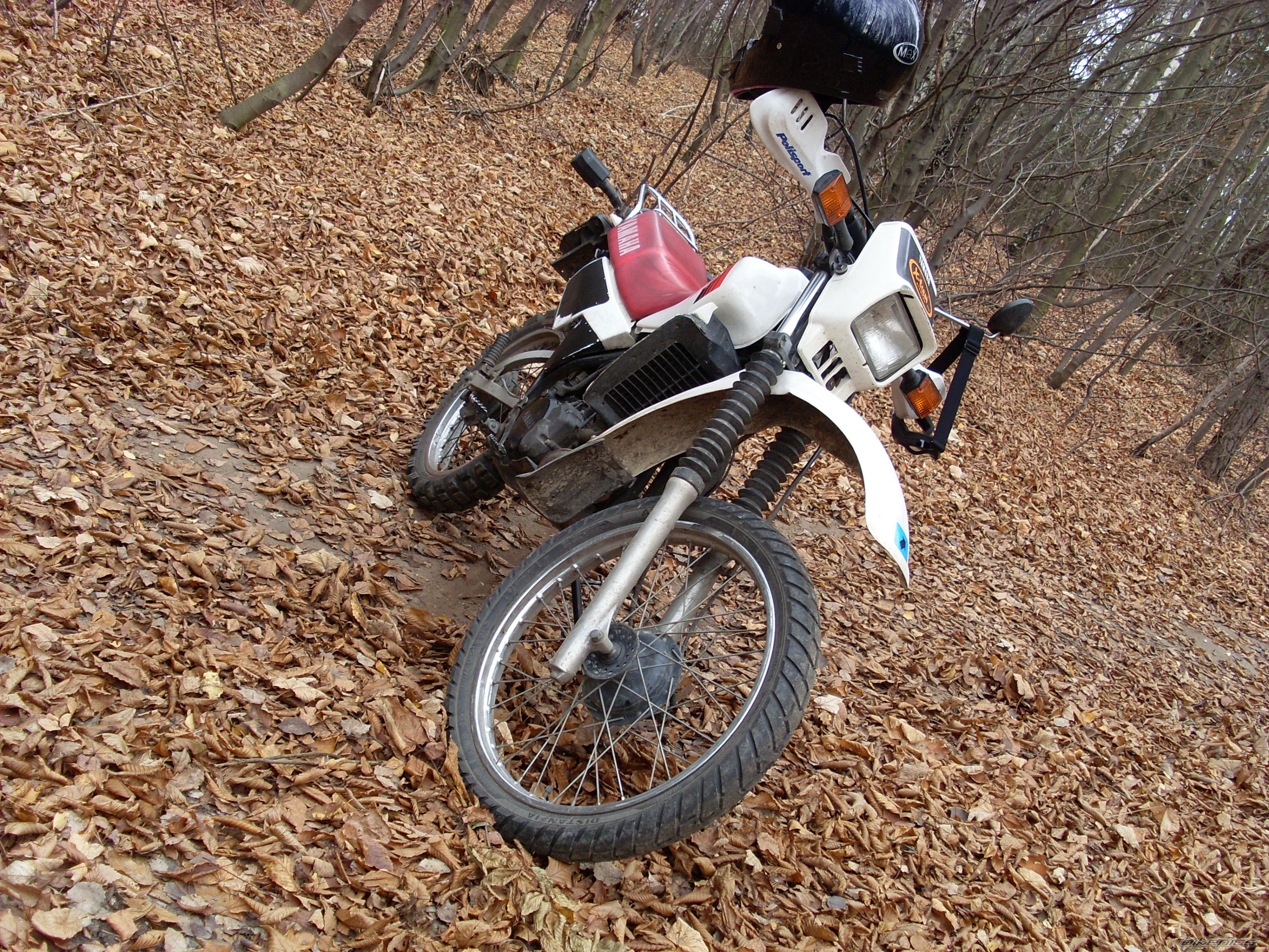 Bike Photo 1483916