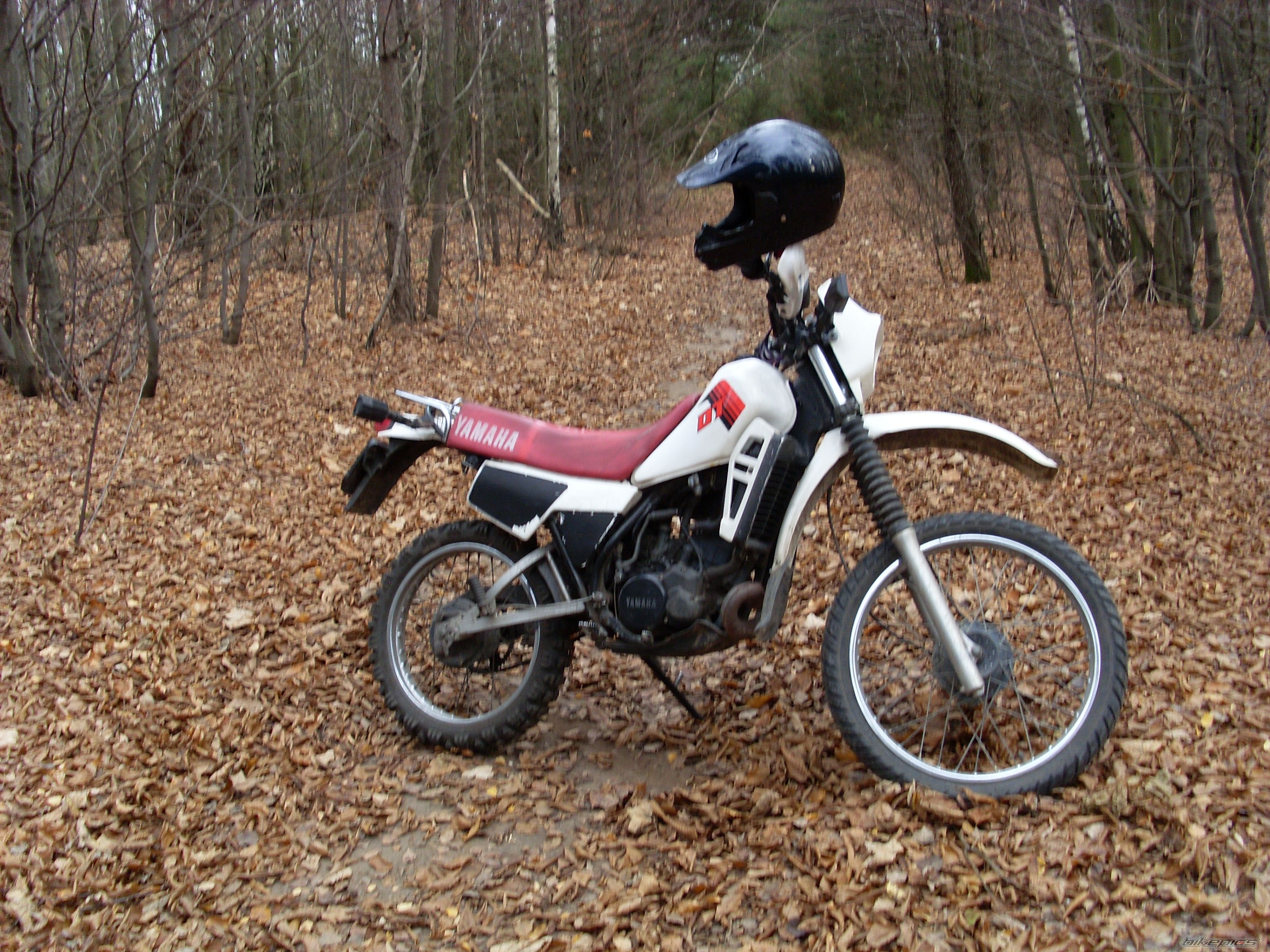 Bike Photo 1483925