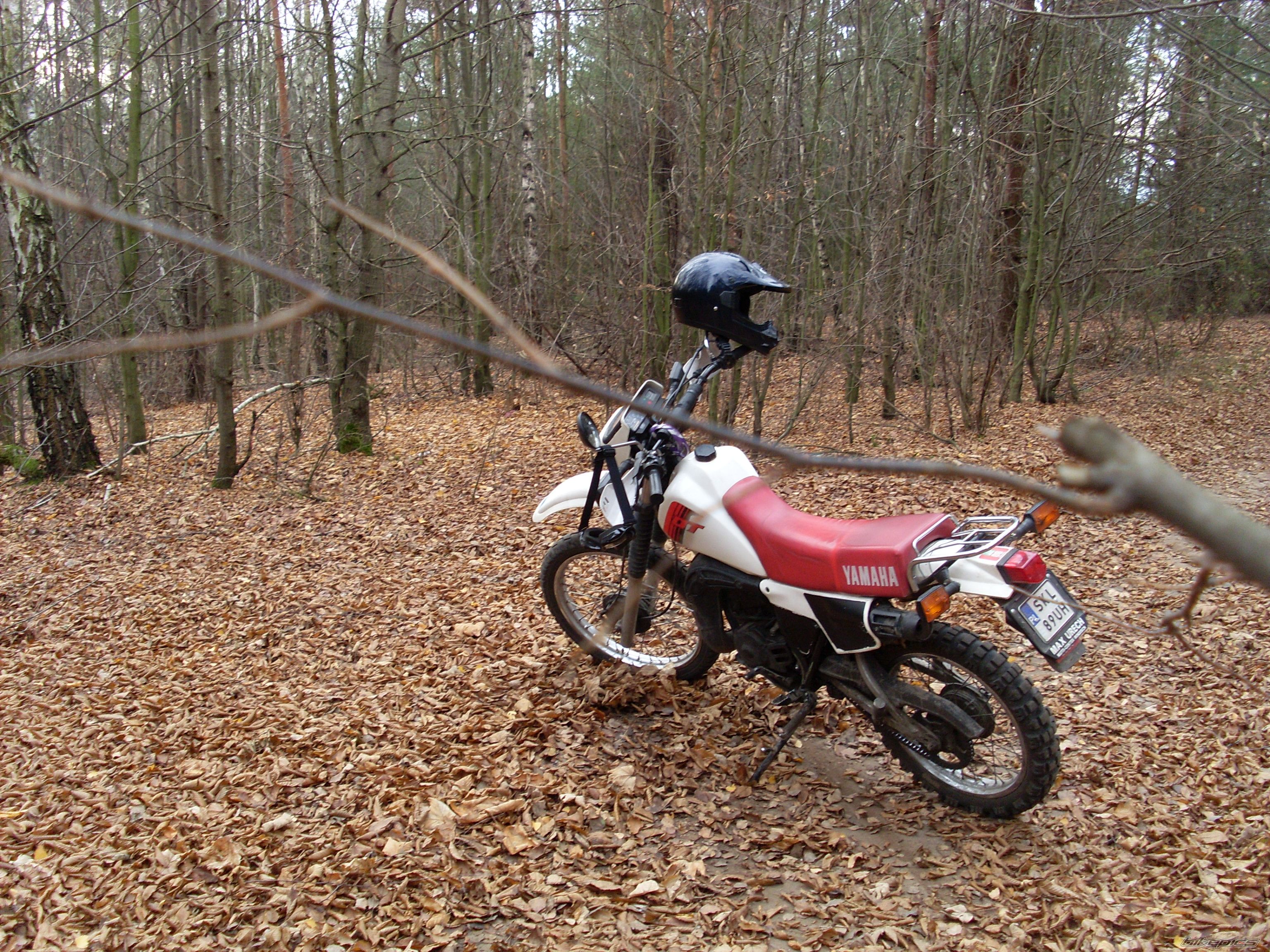 Bike Photo 1483926