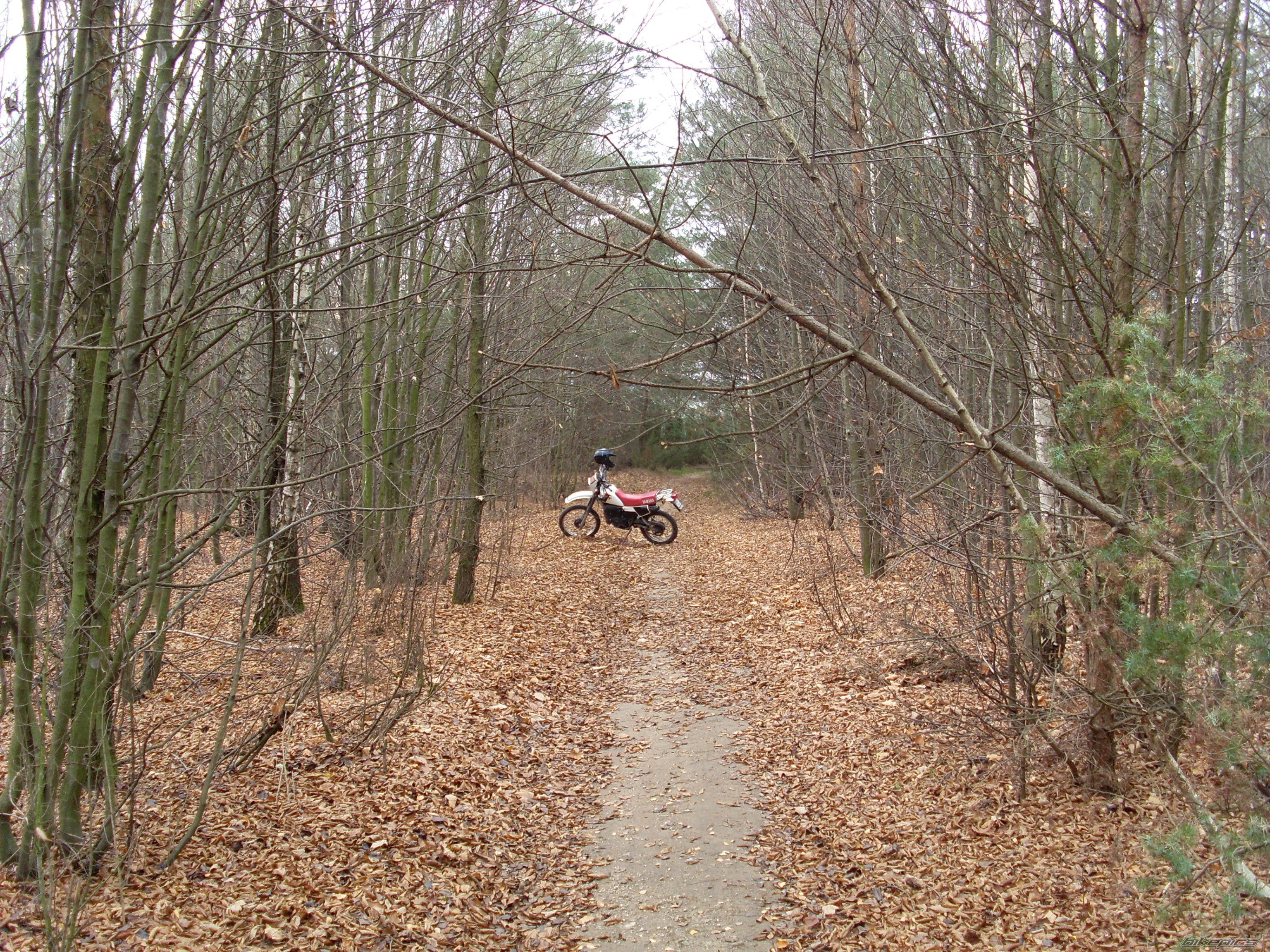 Bike Photo 1483931