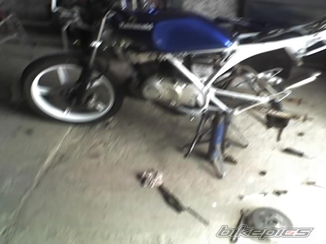 Photo 1483959