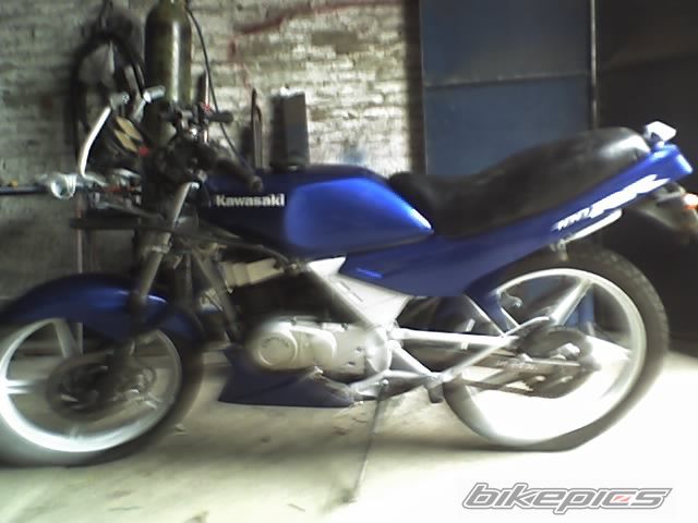Photo 1483961