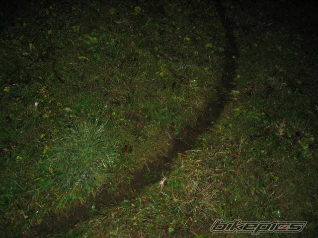 Photo 148402