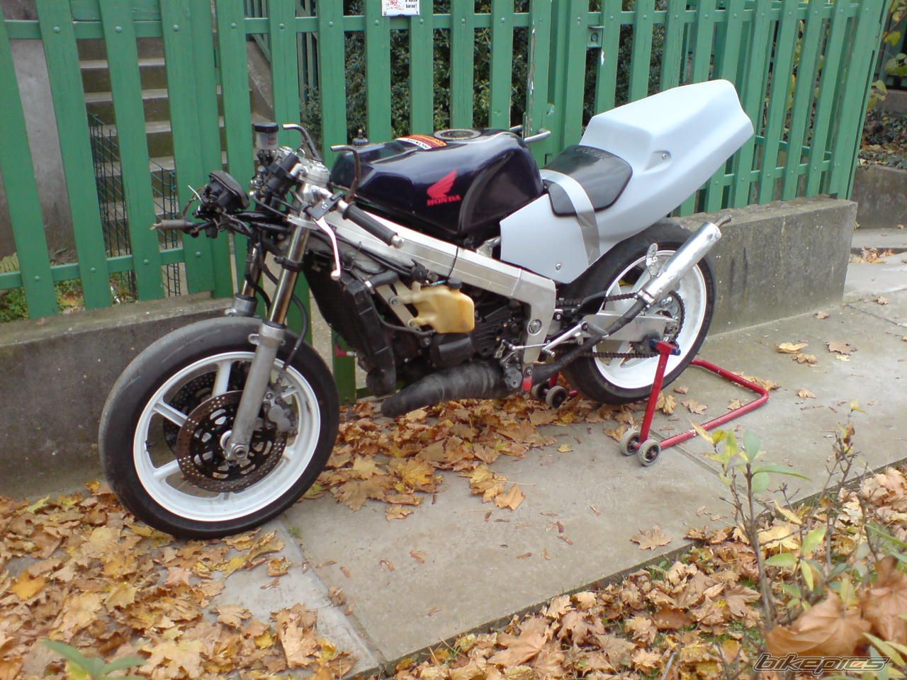 Photo 1484040