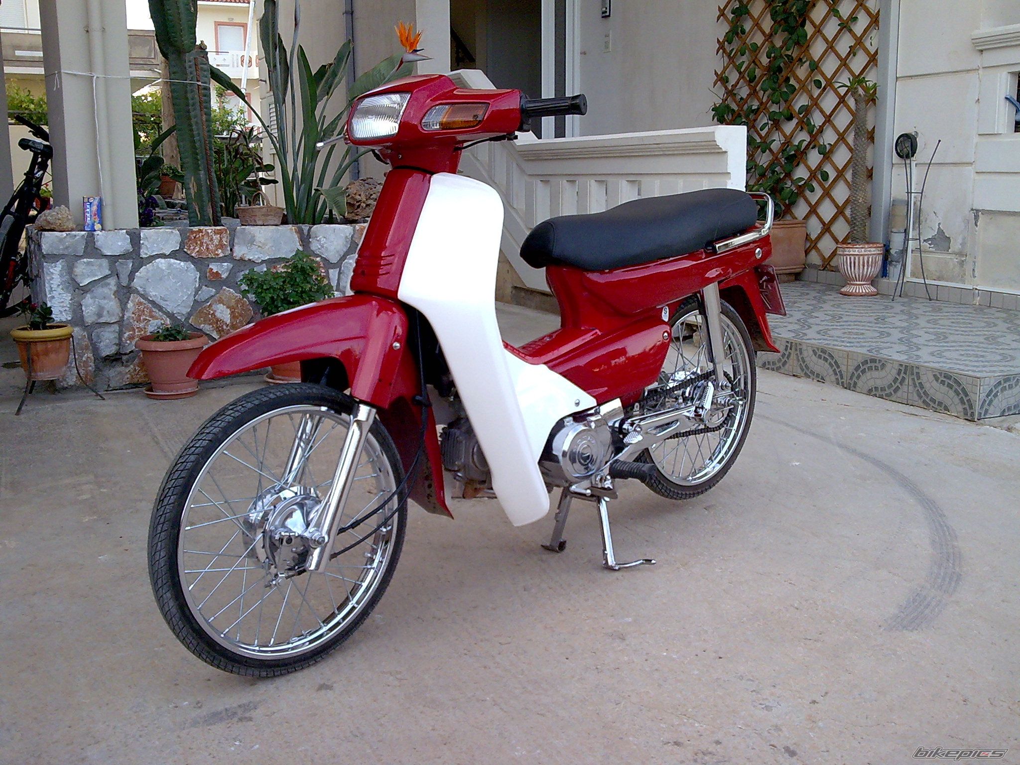 Photo 1484042