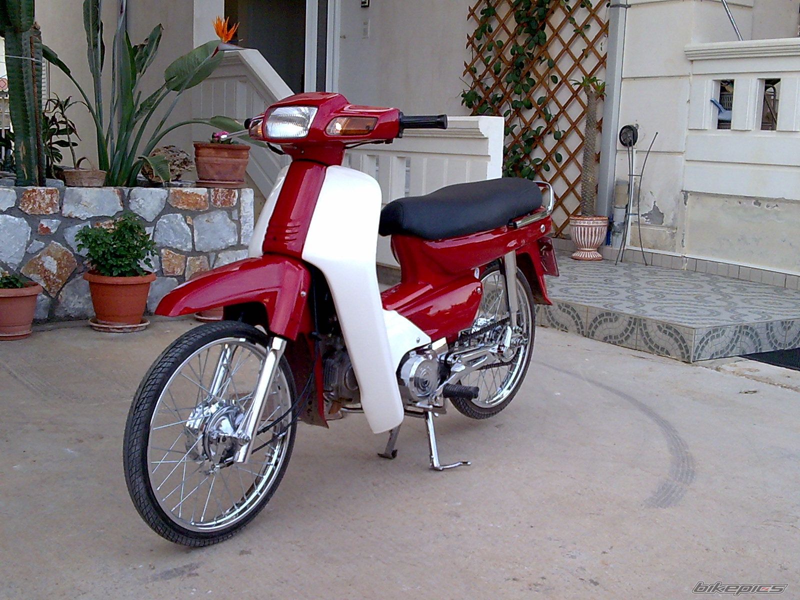 Photo 1484043