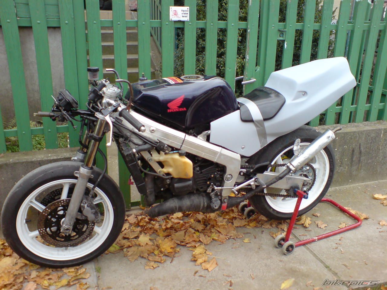 Photo 1484046