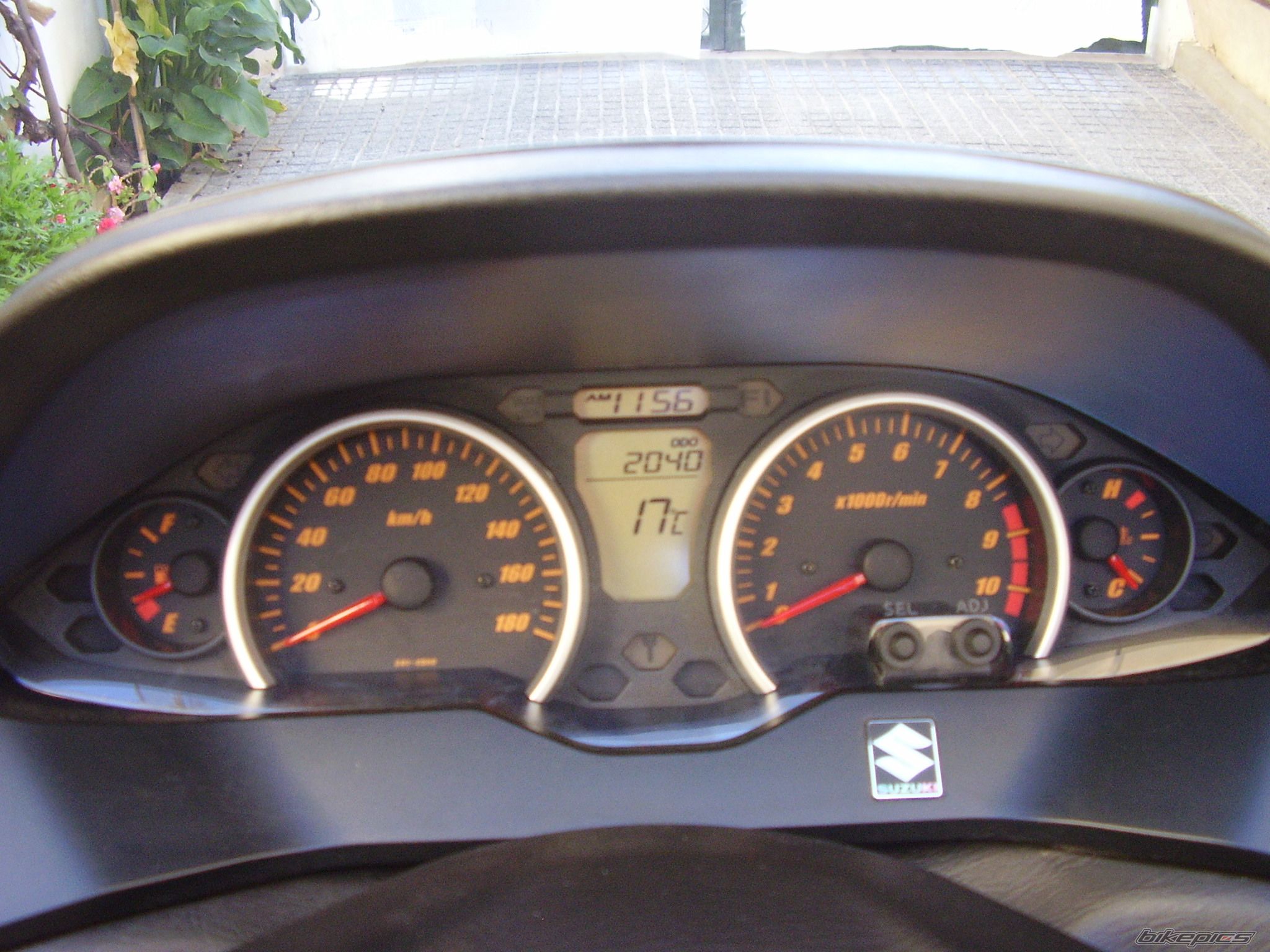 Photo 1484106