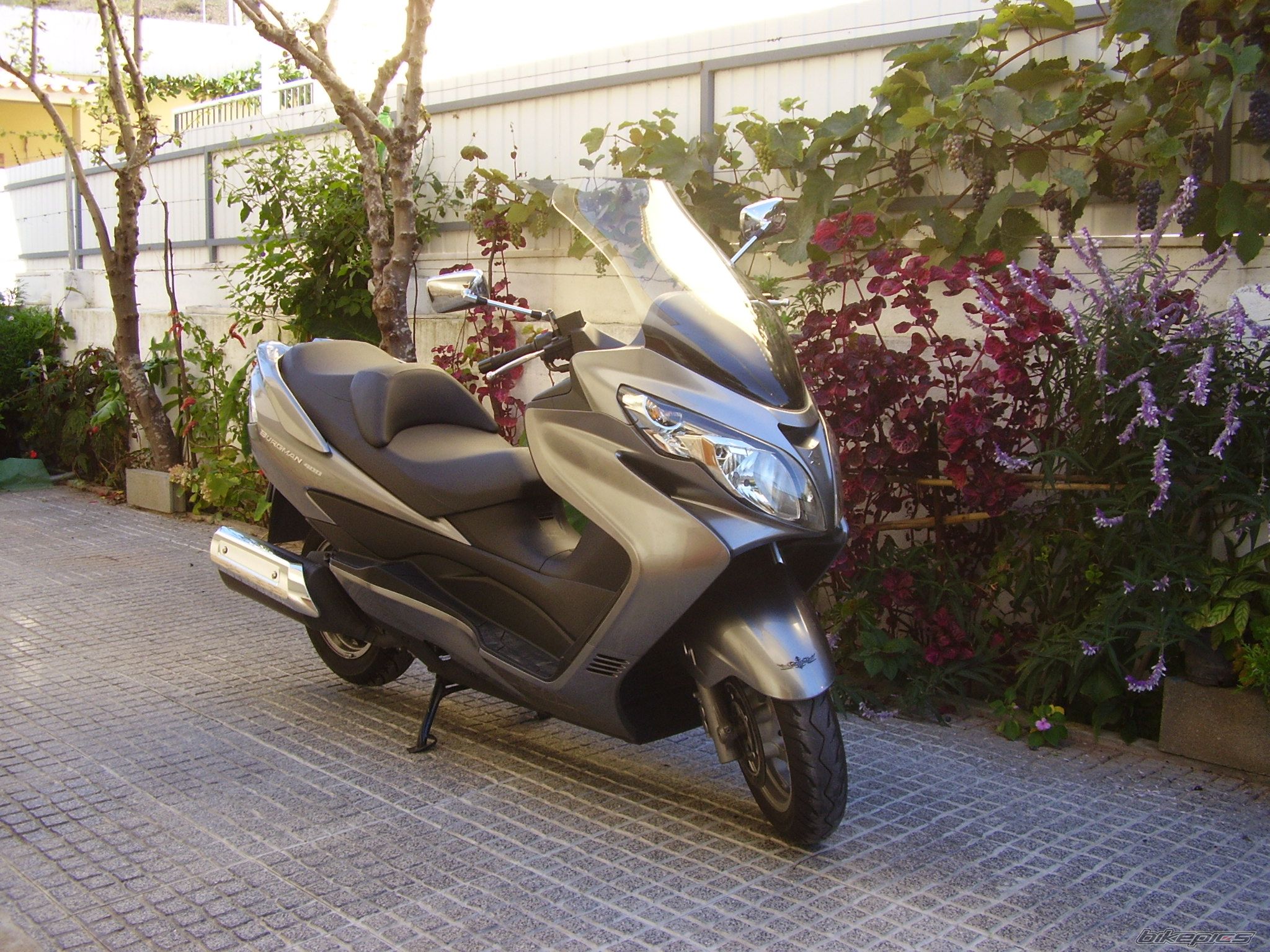 Photo 1484109