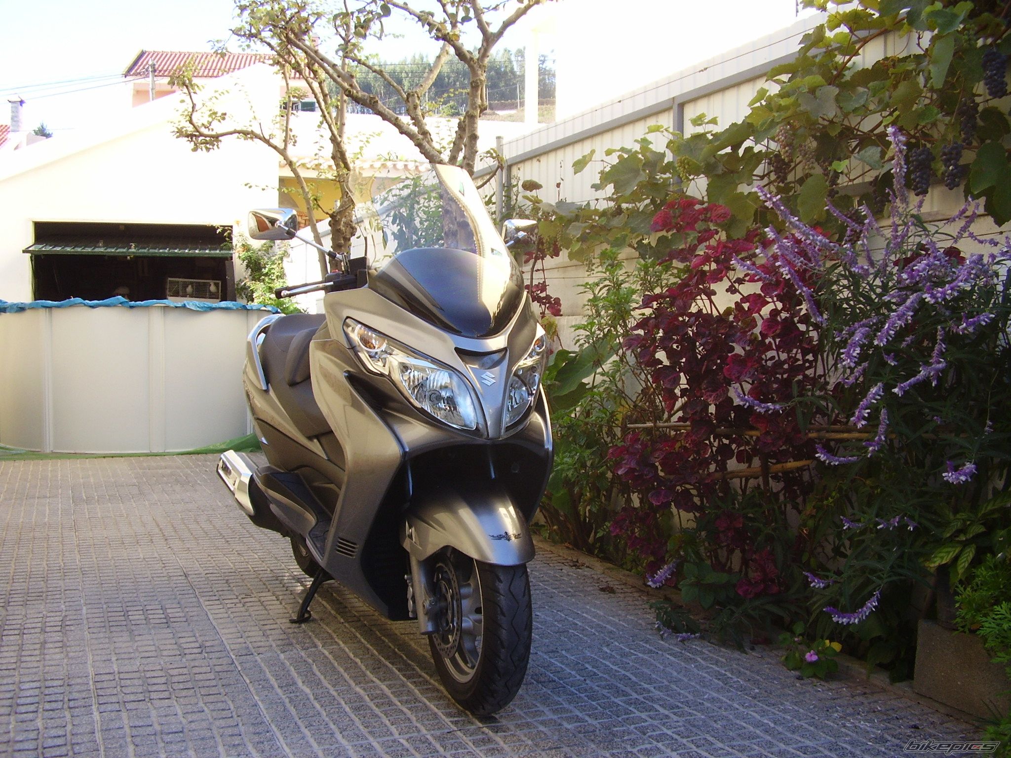 Photo 1484111