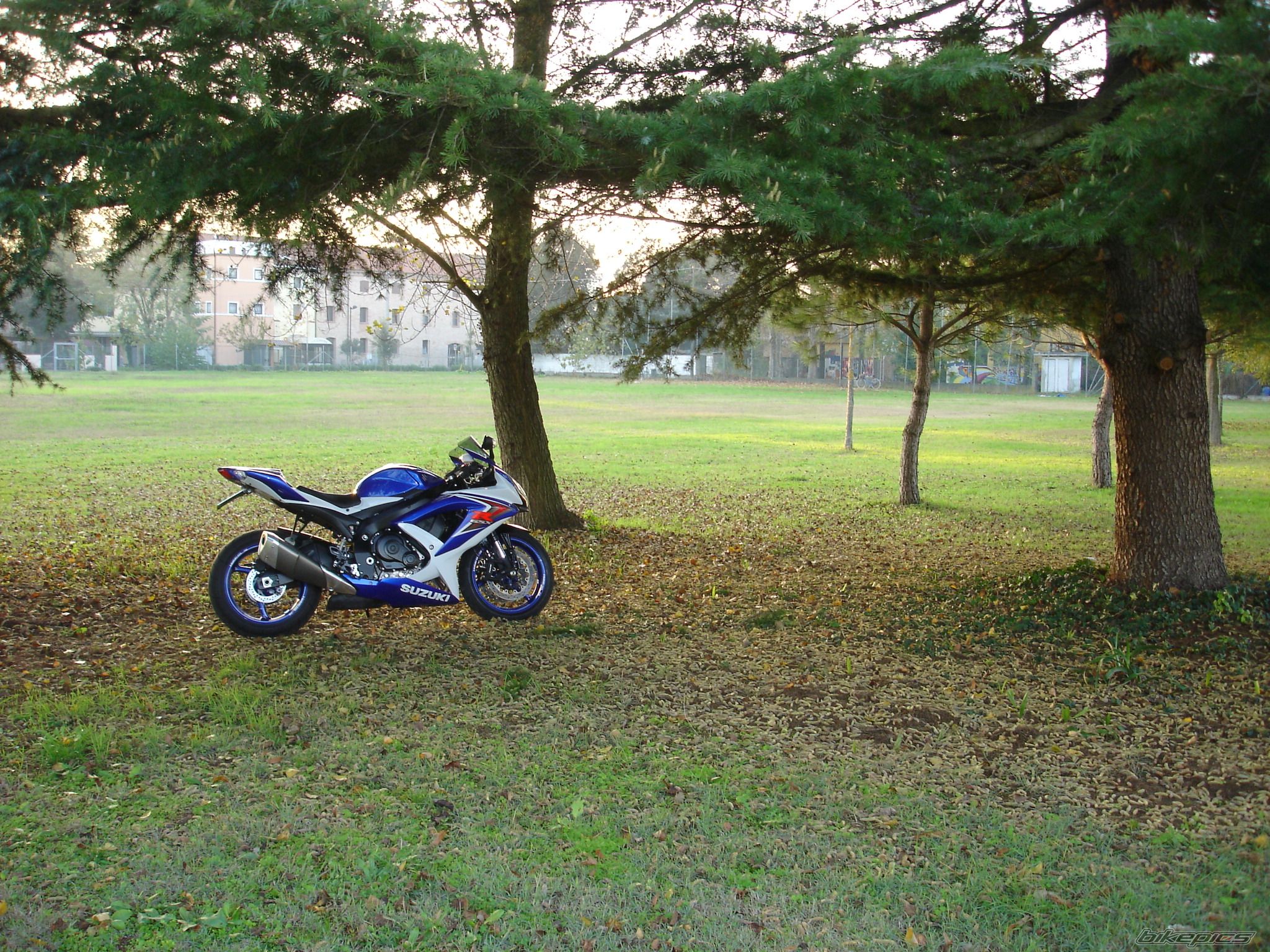 Bike Photo 1484117