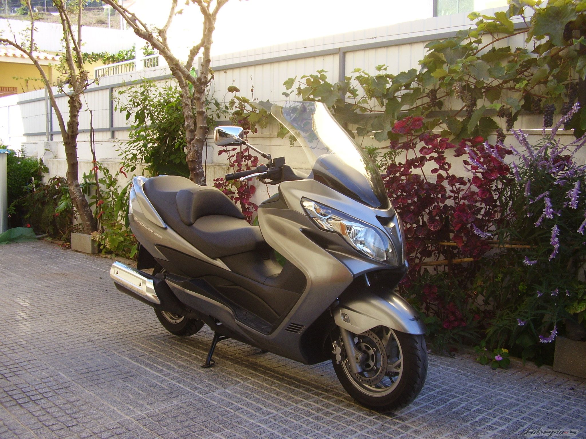 Photo 1484121