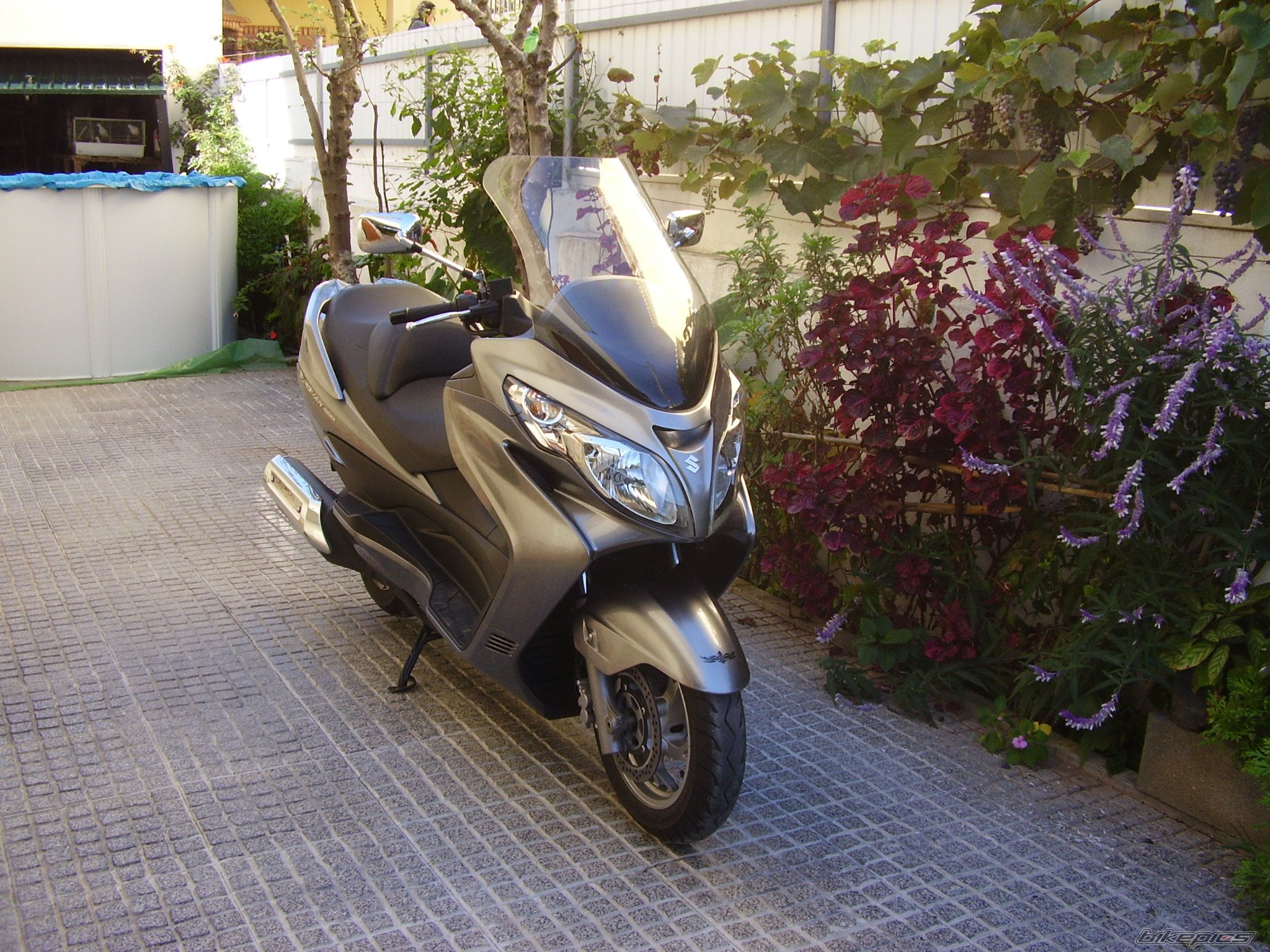 Photo 1484126
