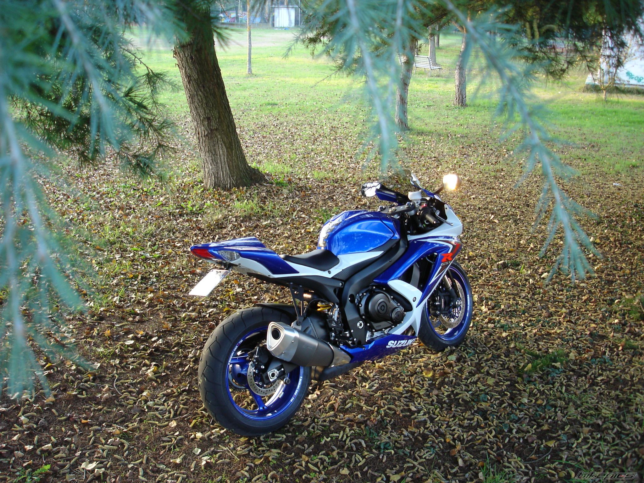 Bike Photo 1484135