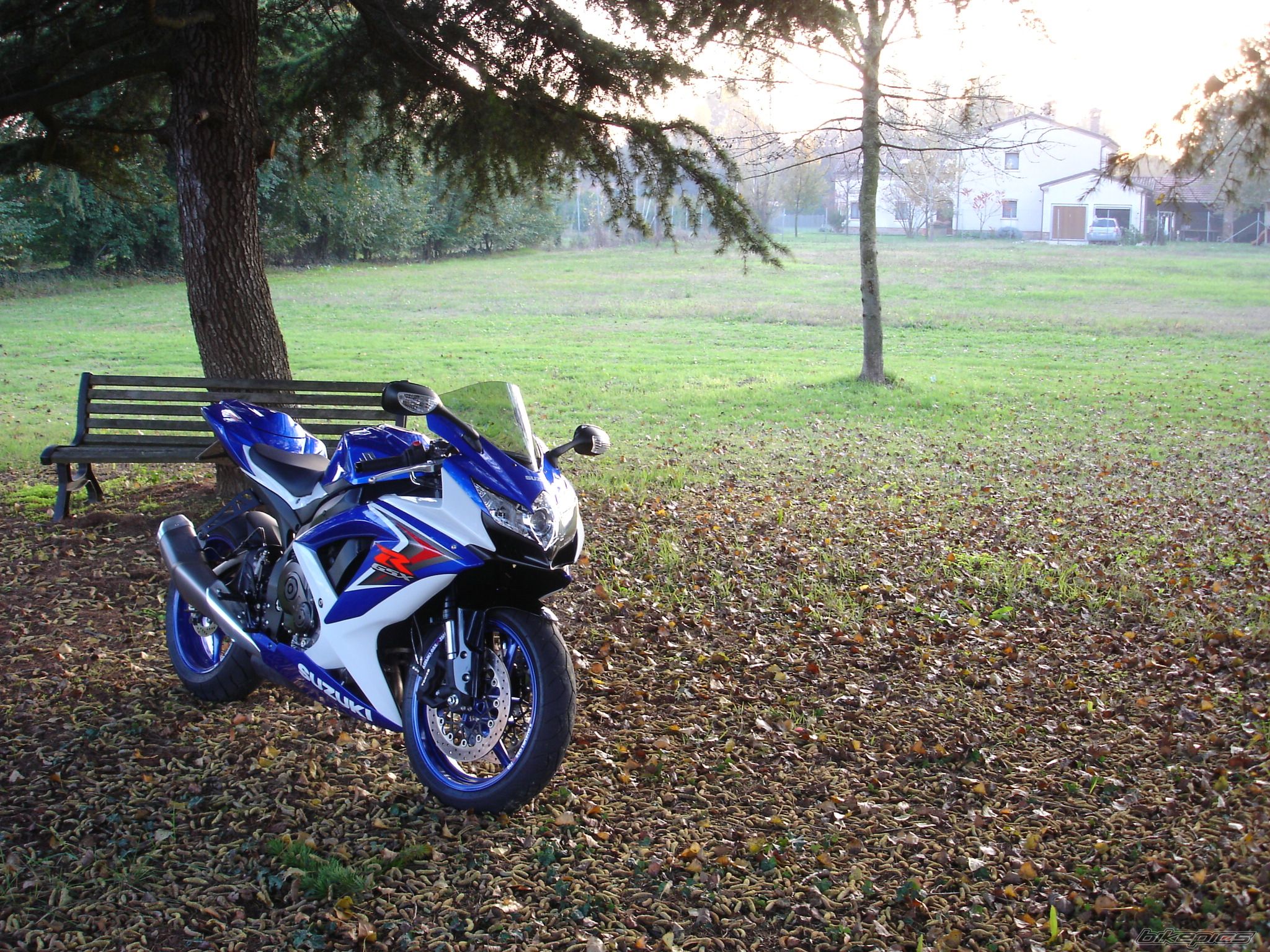 Bike Photo 1484139