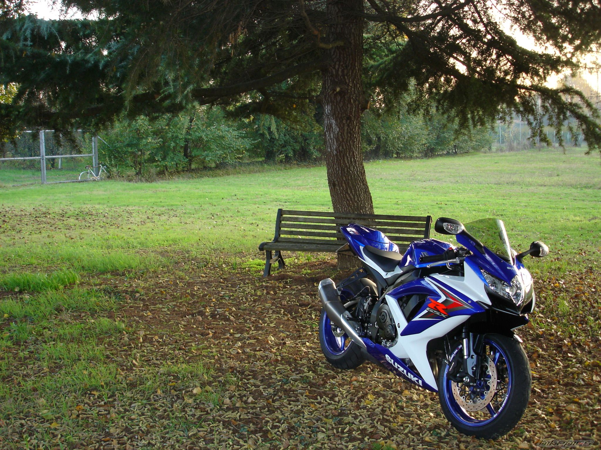 Bike Photo 1484154