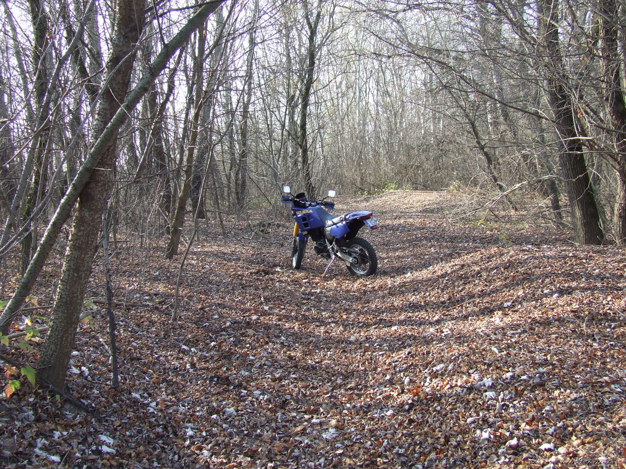 Bike Photo 1484168