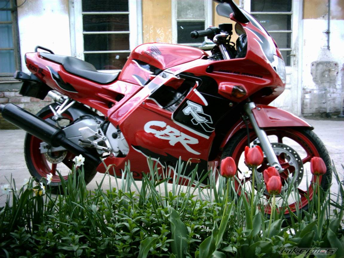 Bike Photo 148417