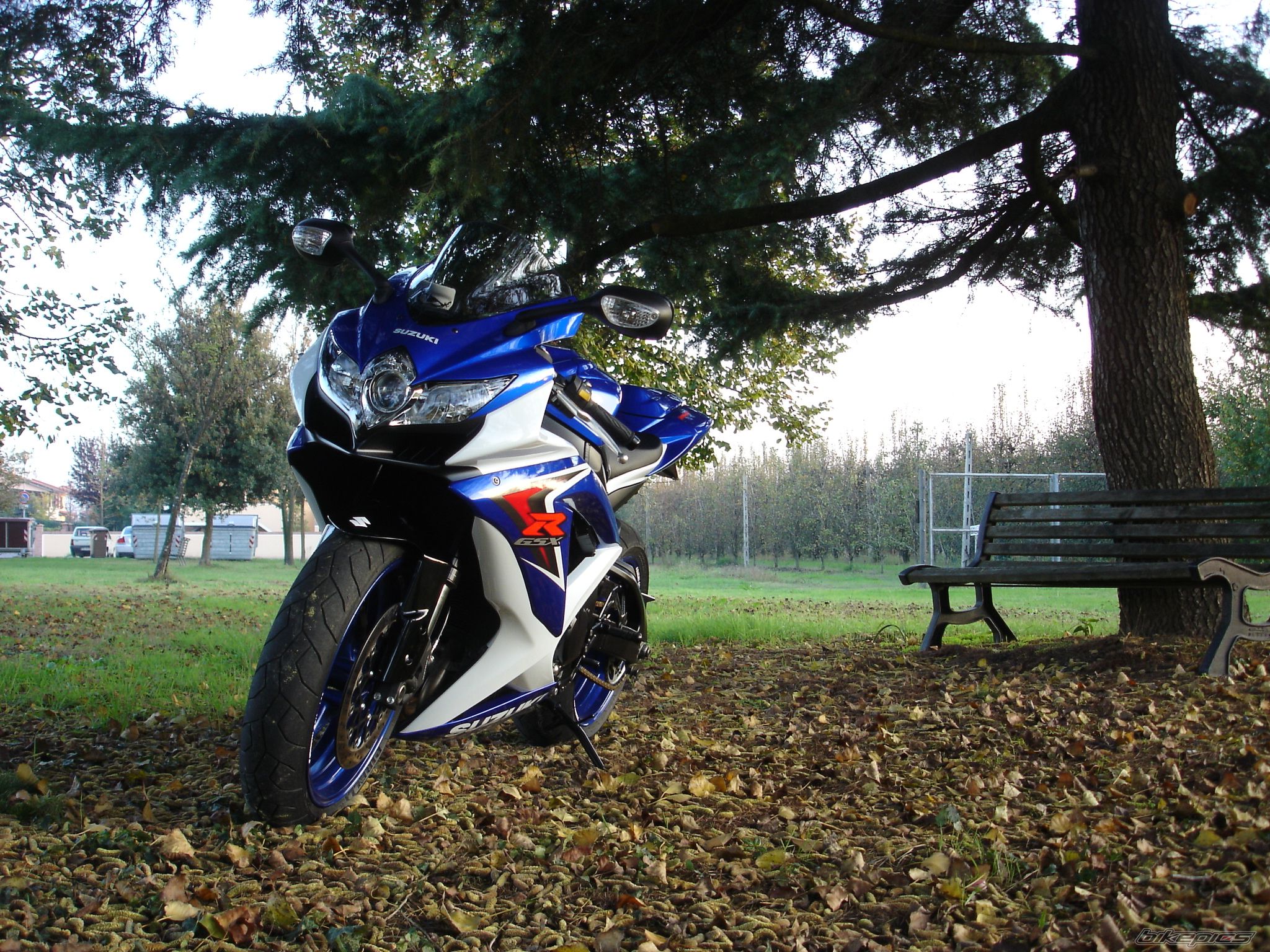 Bike Photo 1484173