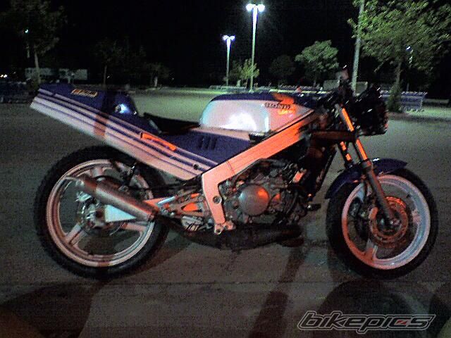 Photo 1484189