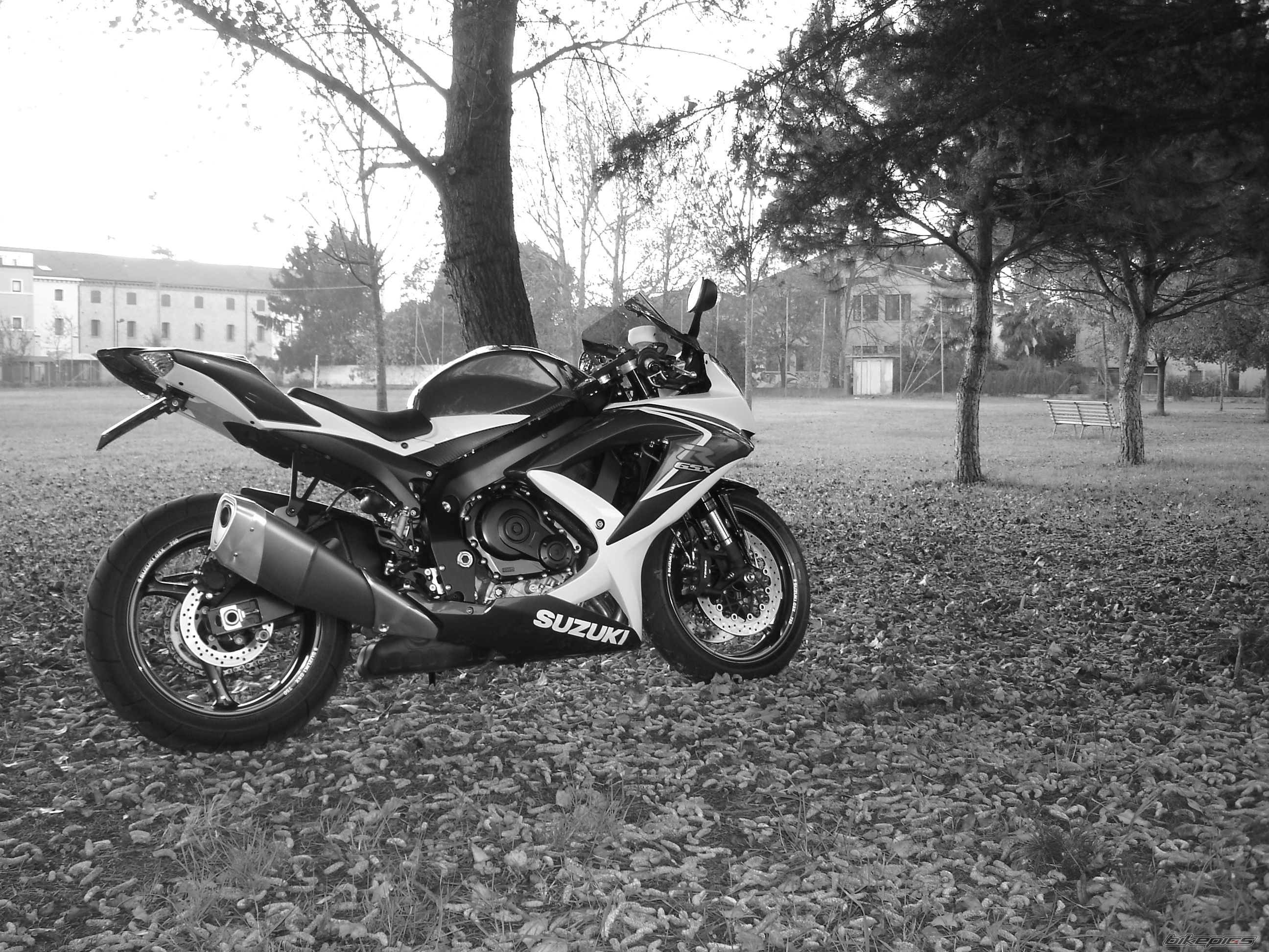 Bike Photo 1484191