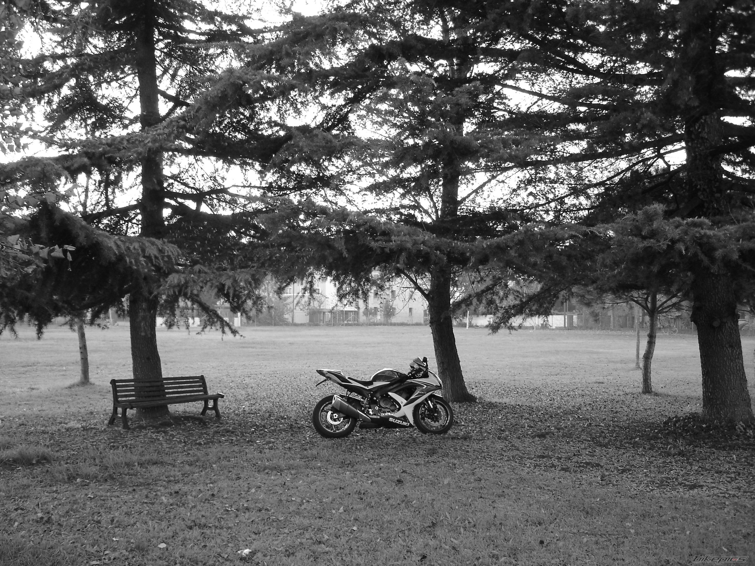 Bike Photo 1484195