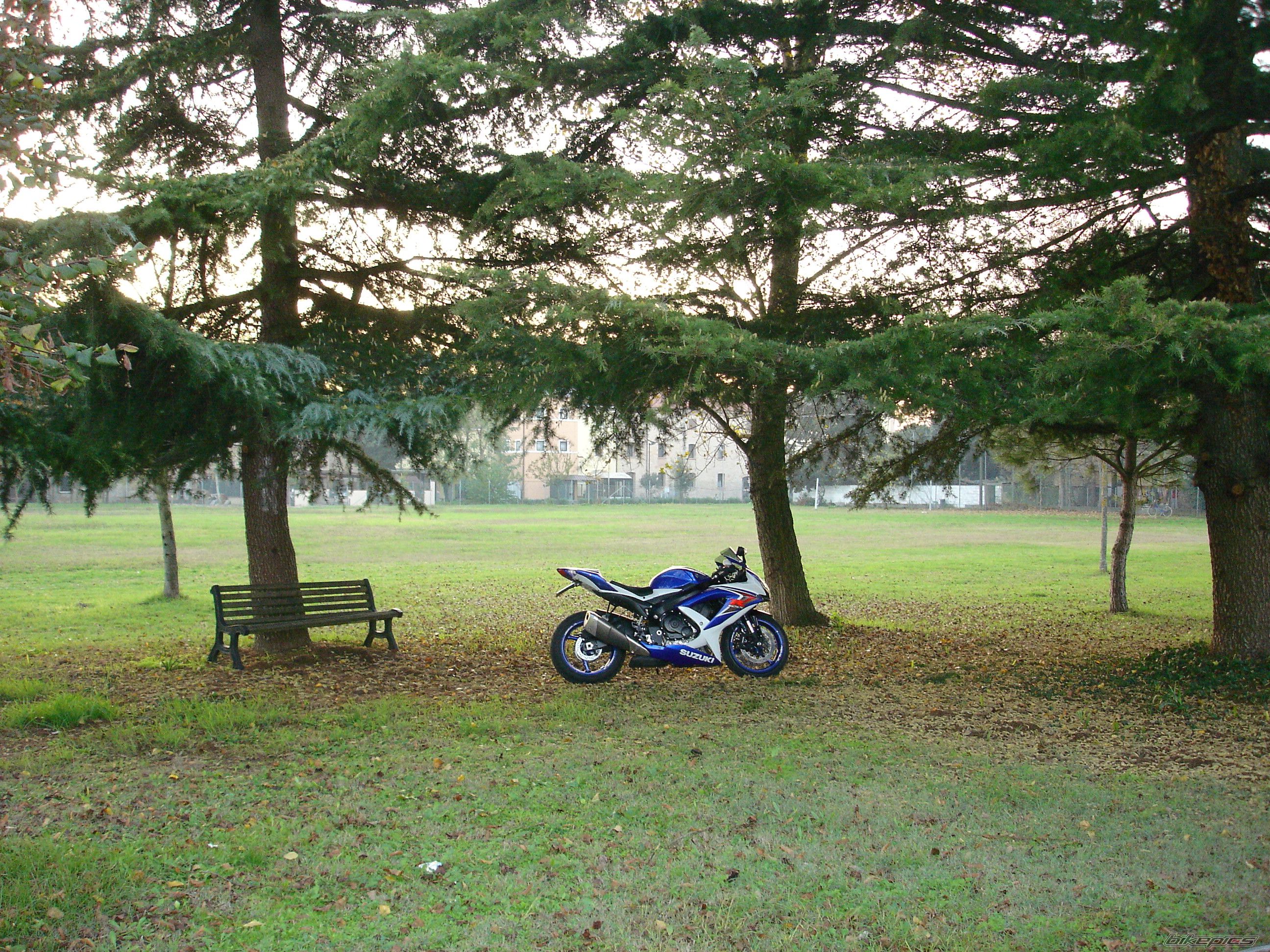 Bike Photo 1484202