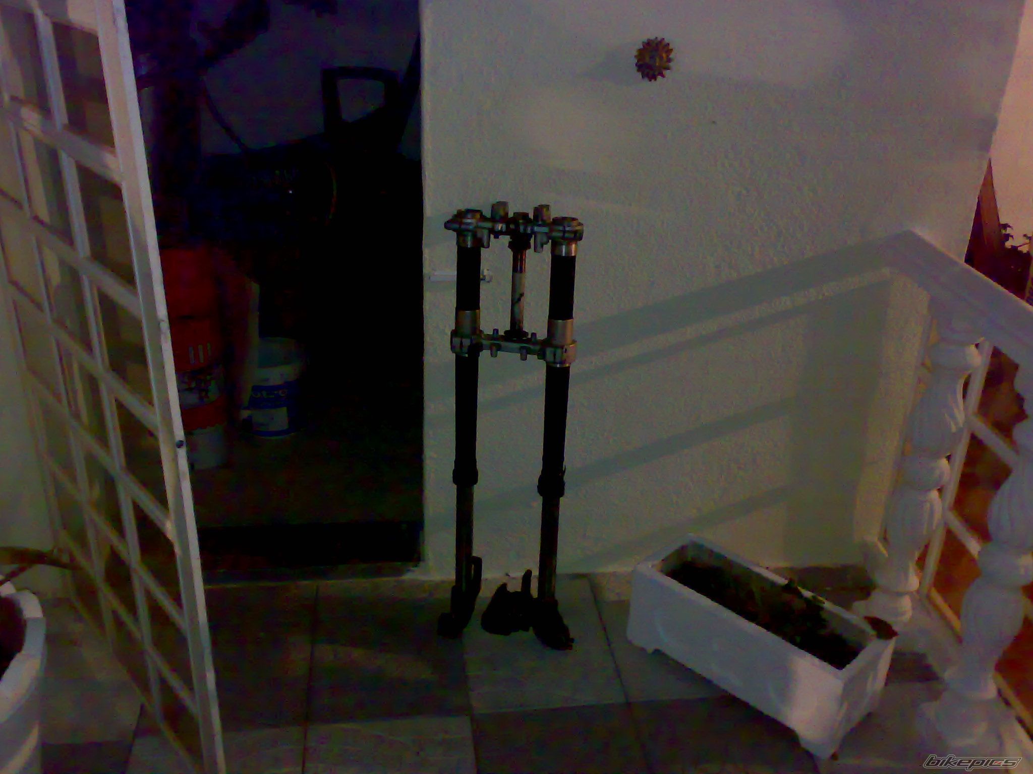 Photo 1484269