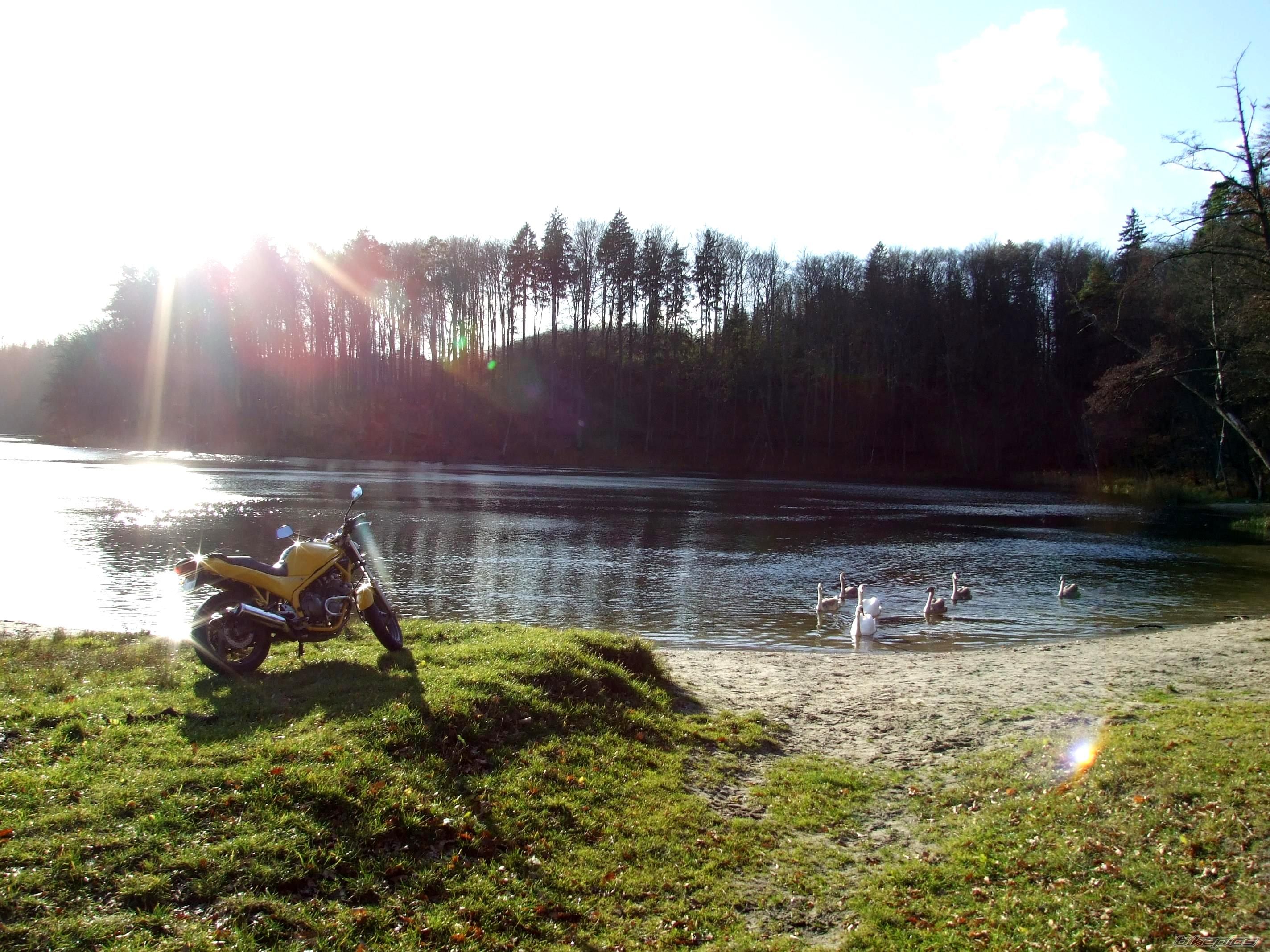 Bike Photo 1484290