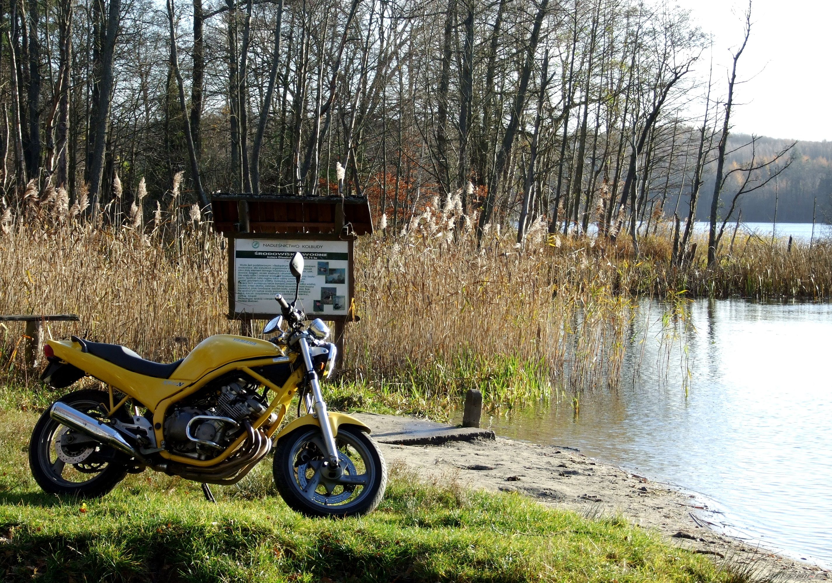 Bike Photo 1484293