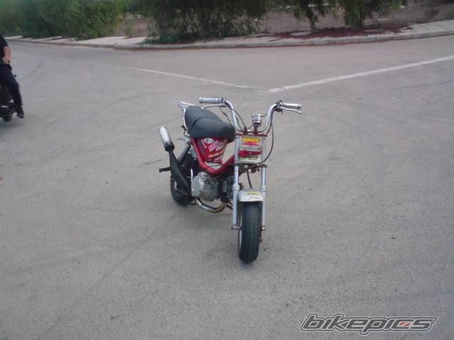 Photo 1484305