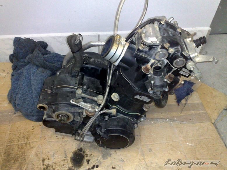 Photo 1484322