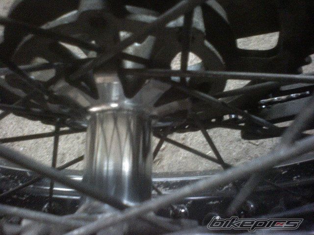 Photo 1484353