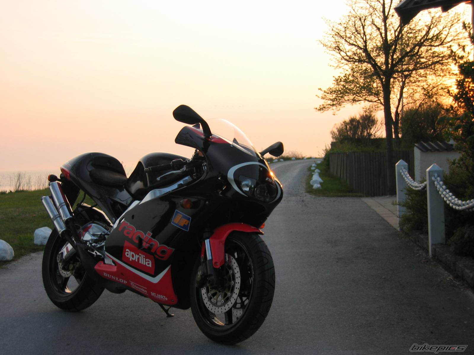 Photo 148437