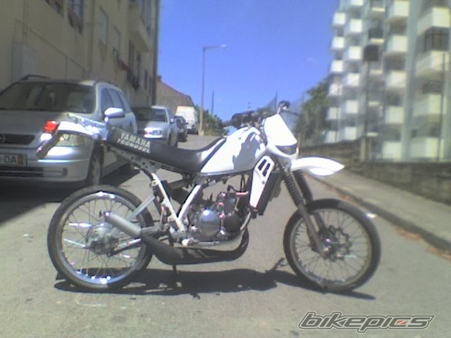 Photo 1484481