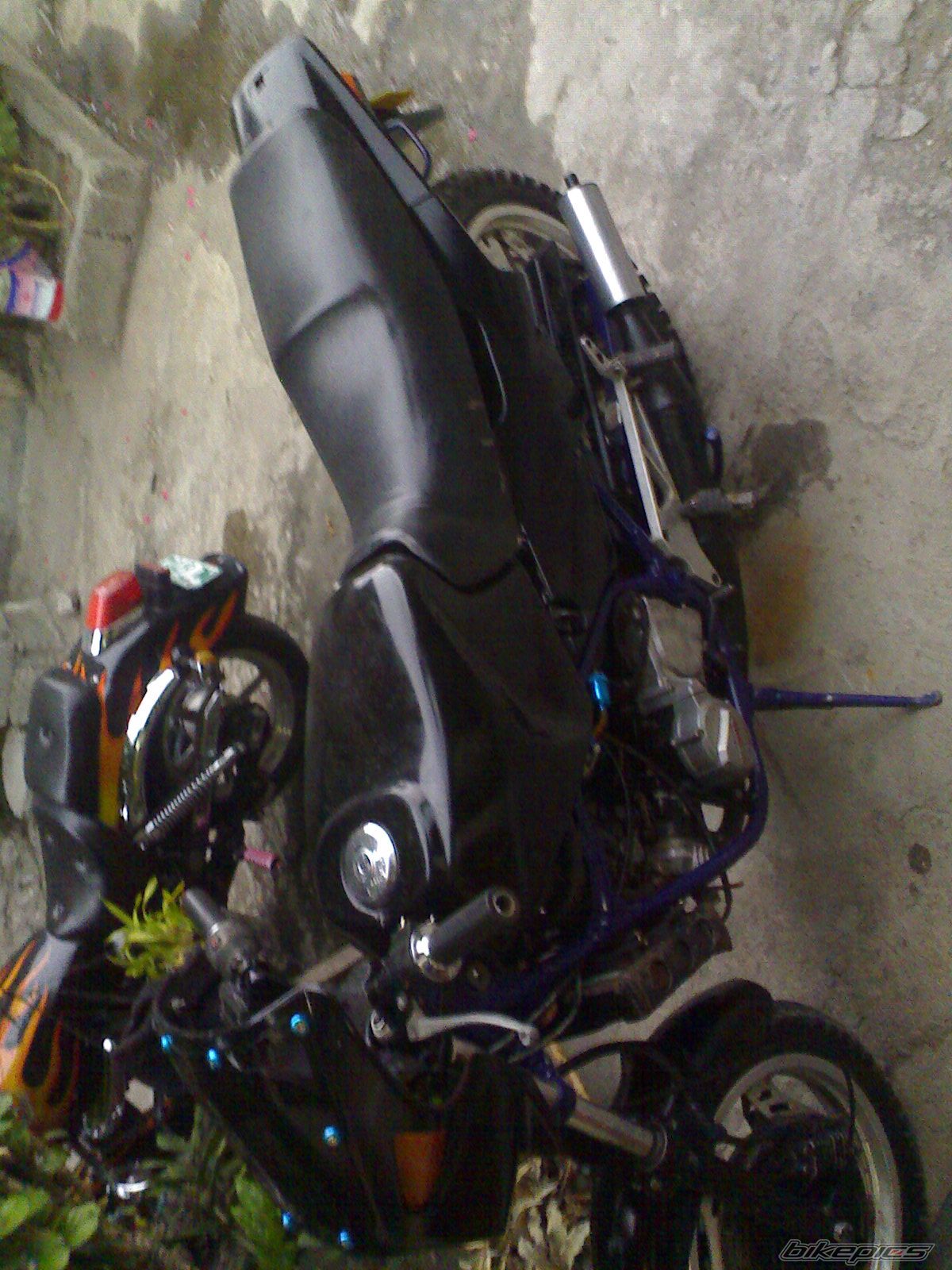 Photo 1484501