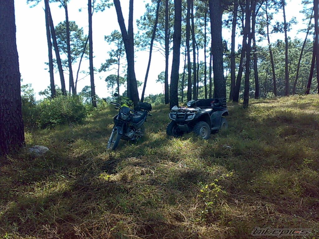 Photo 1484630