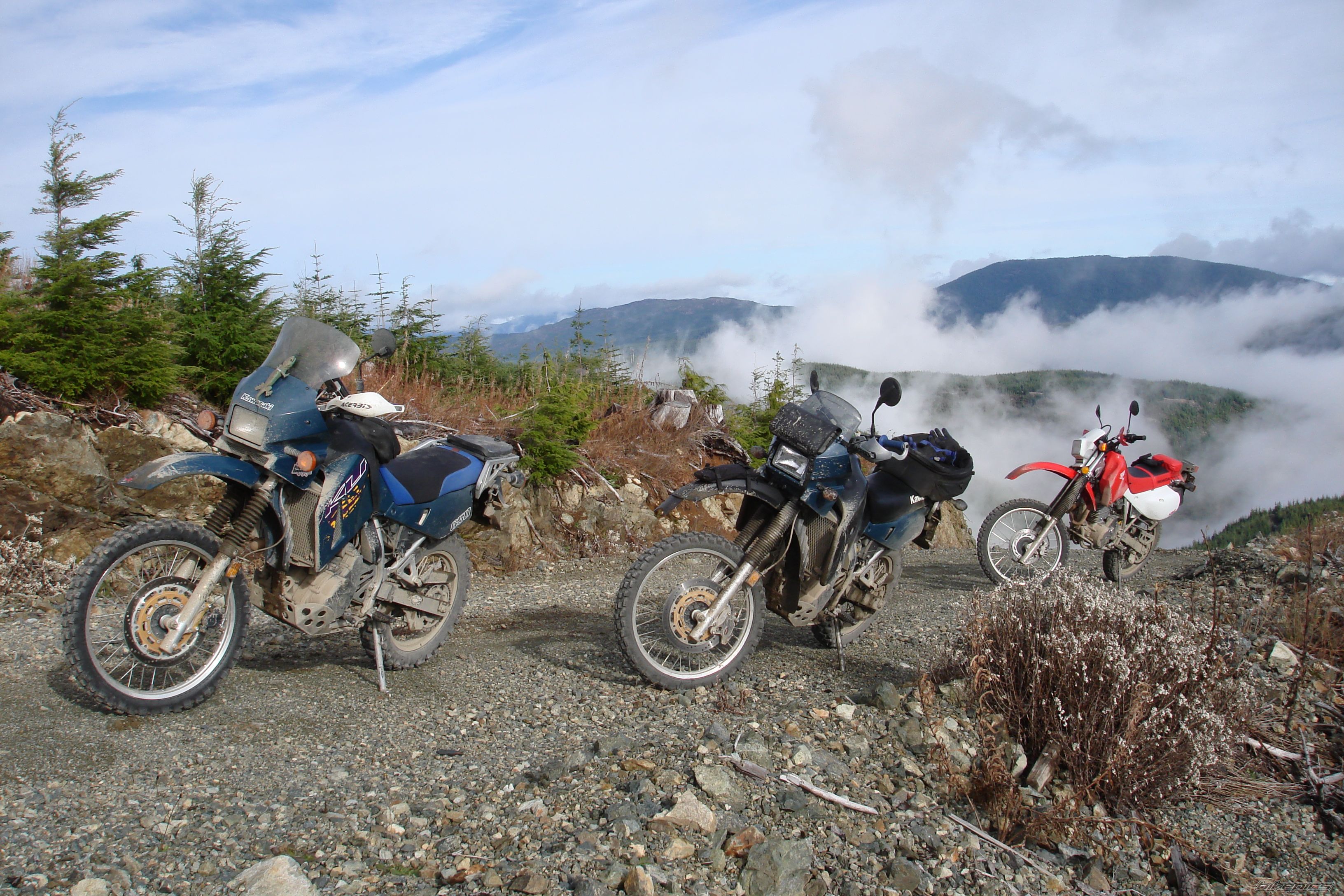 Photo 1484647