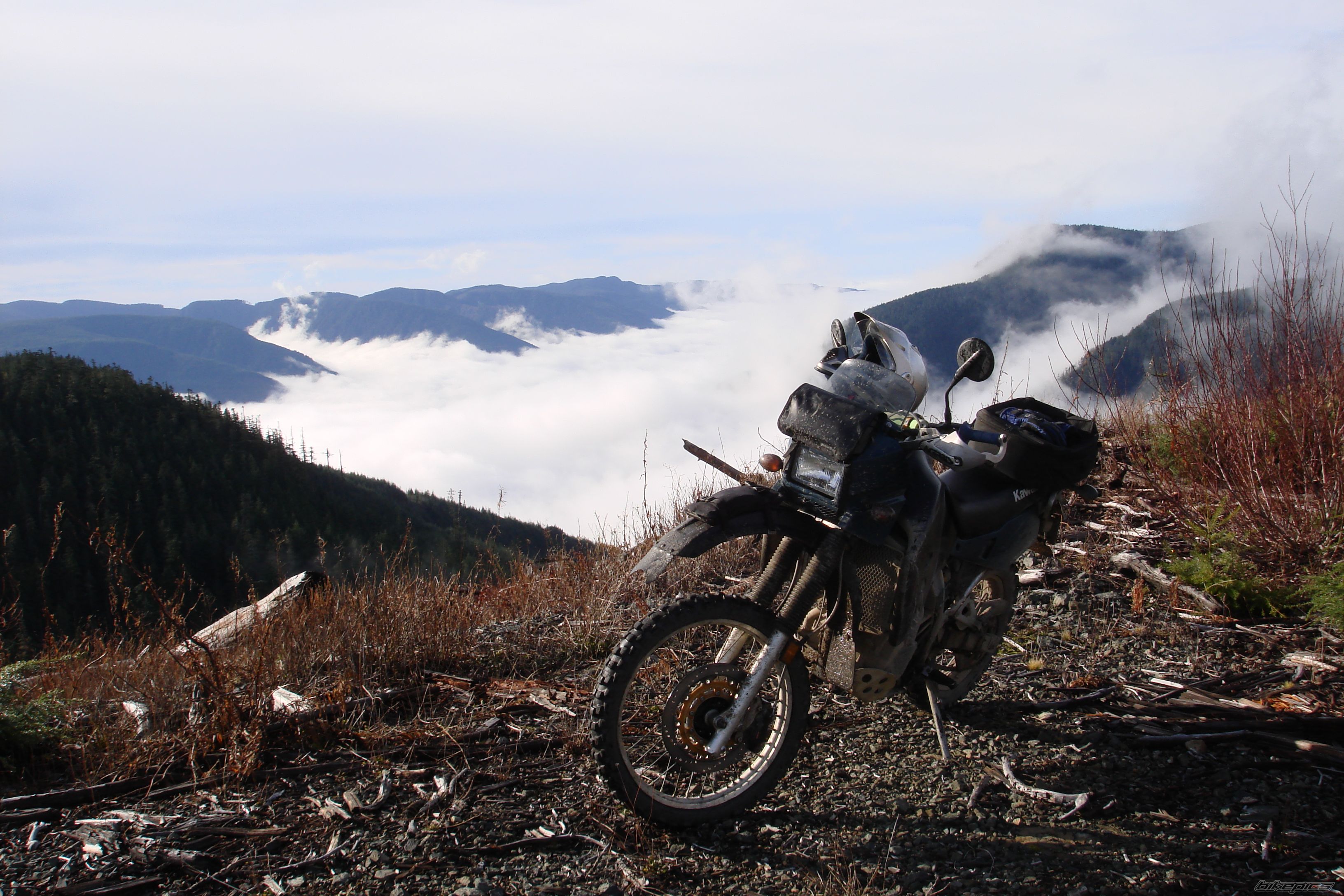 Photo 1484649