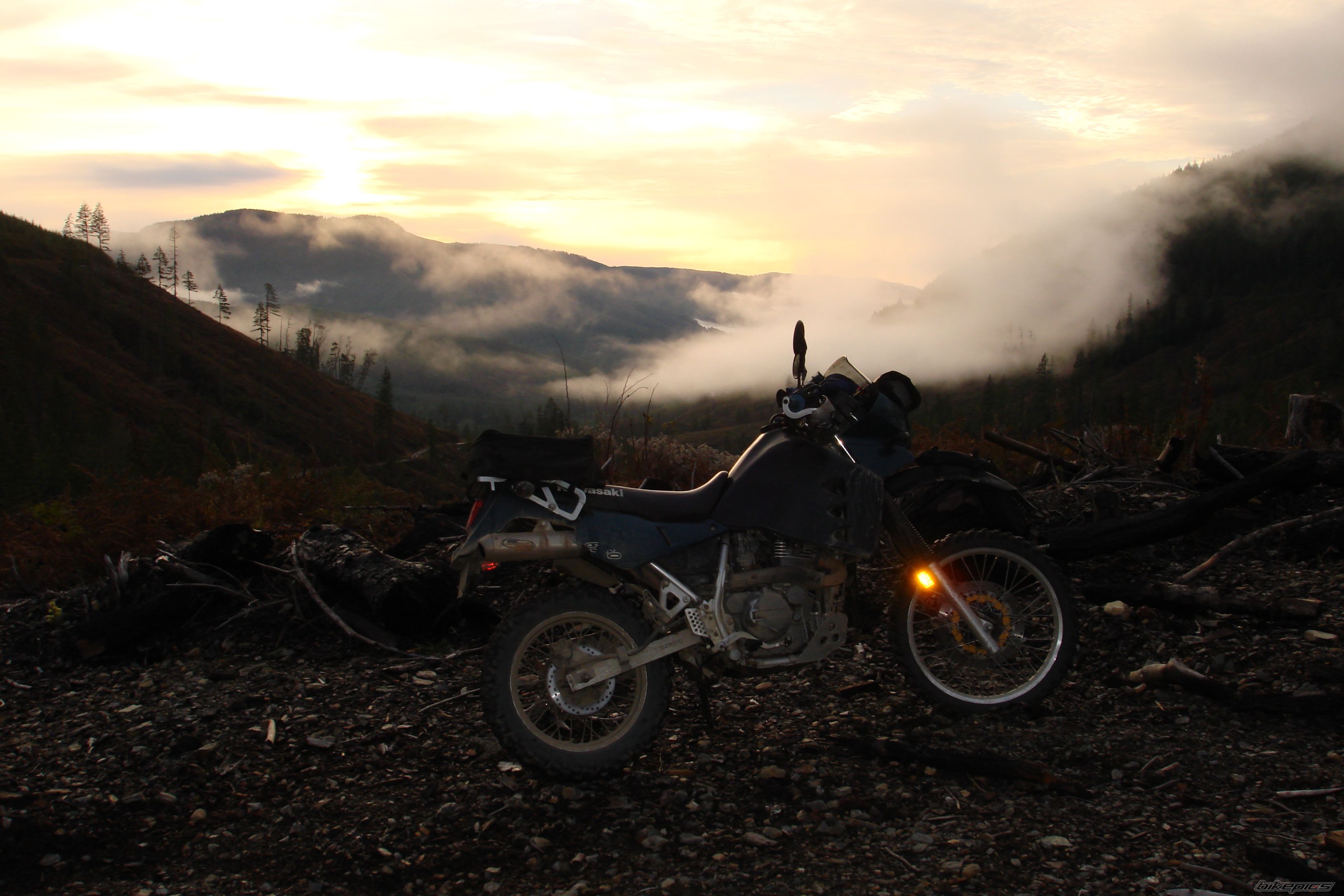 Photo 1484653