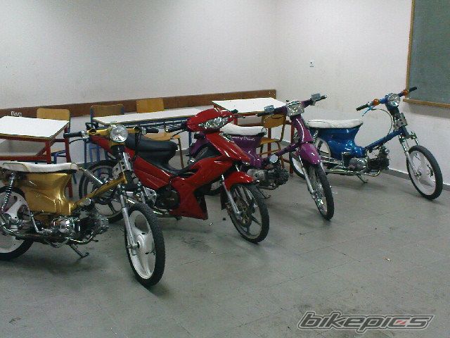 Photo 1484707