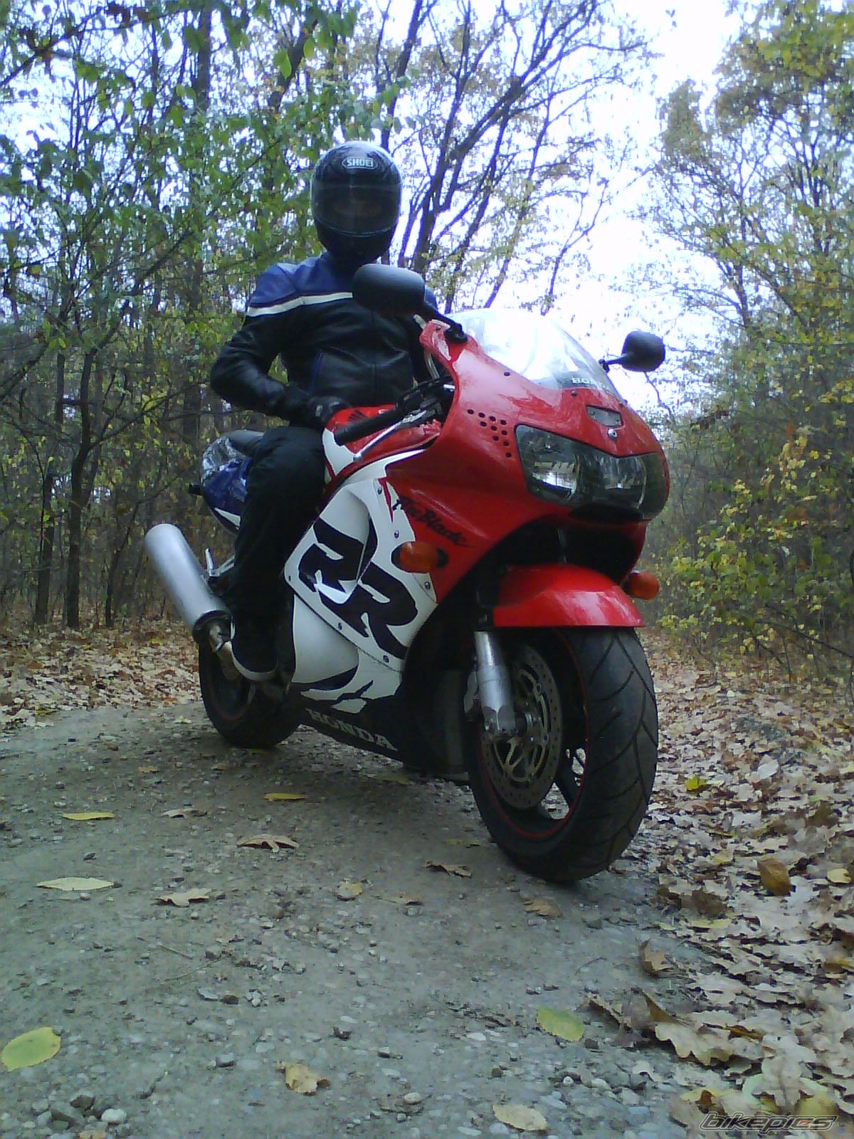 Photo 1484724