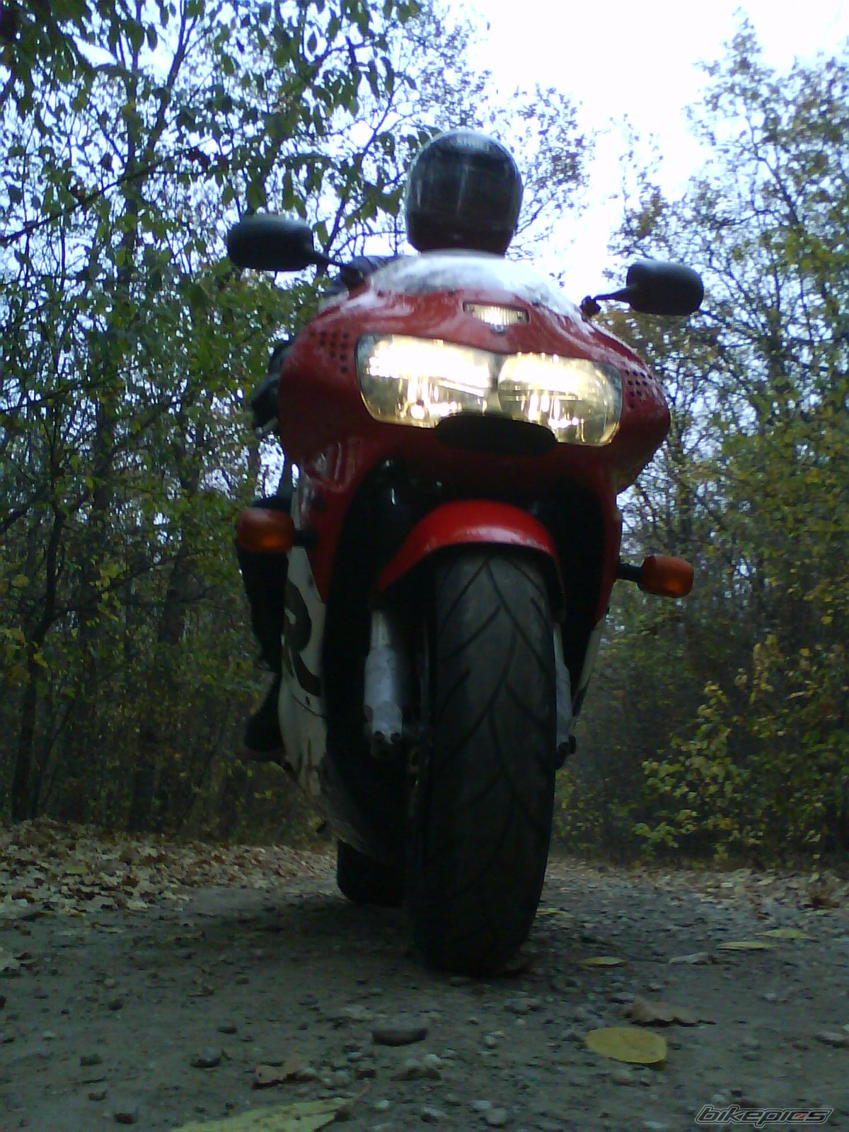 Photo 1484725